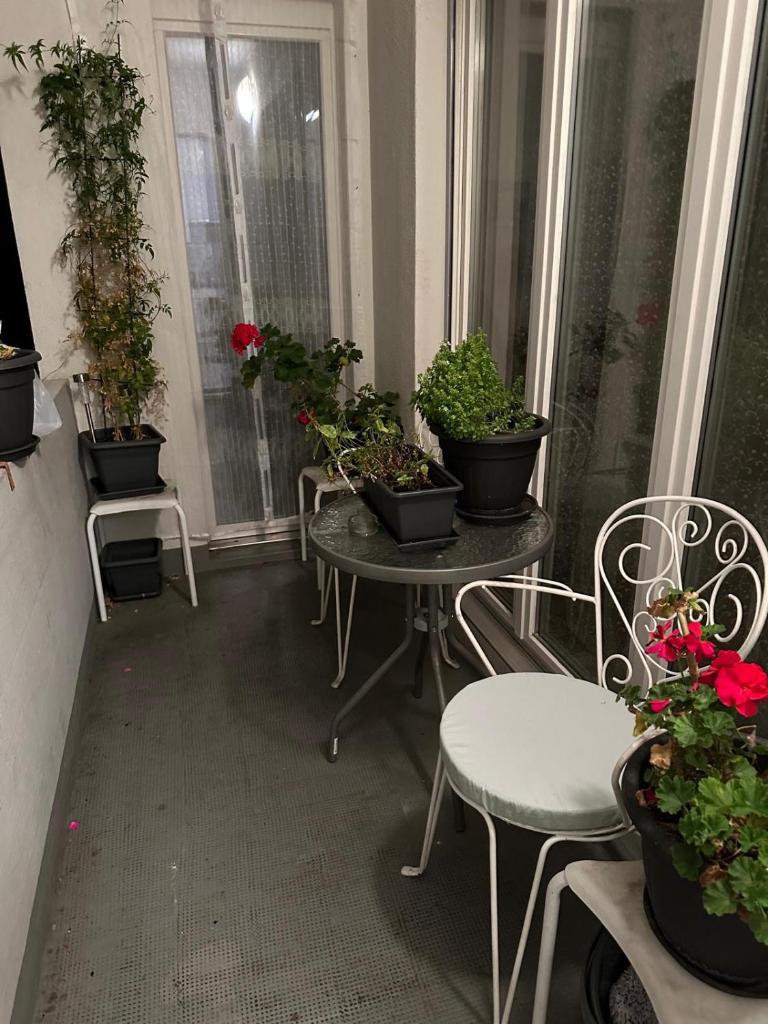 Schöne Suite in der City of Basel - Tap to explore photos