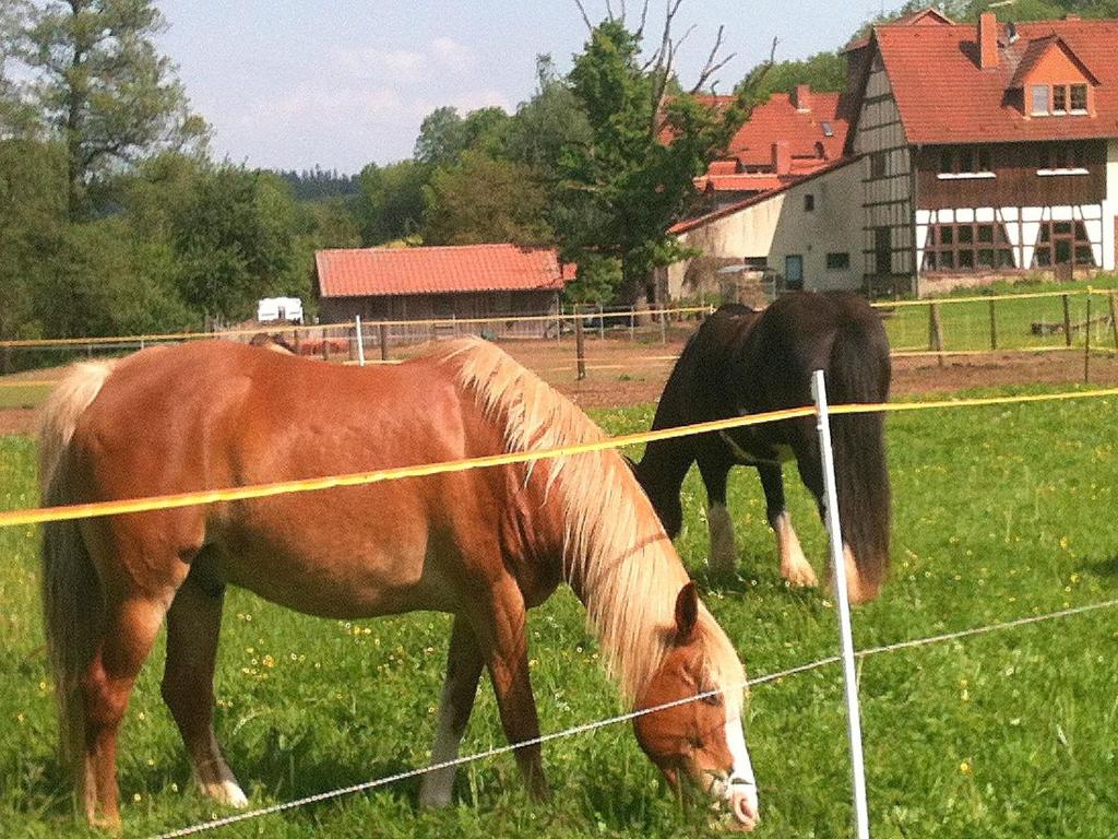 Reiterhof Aumühle photo 4
