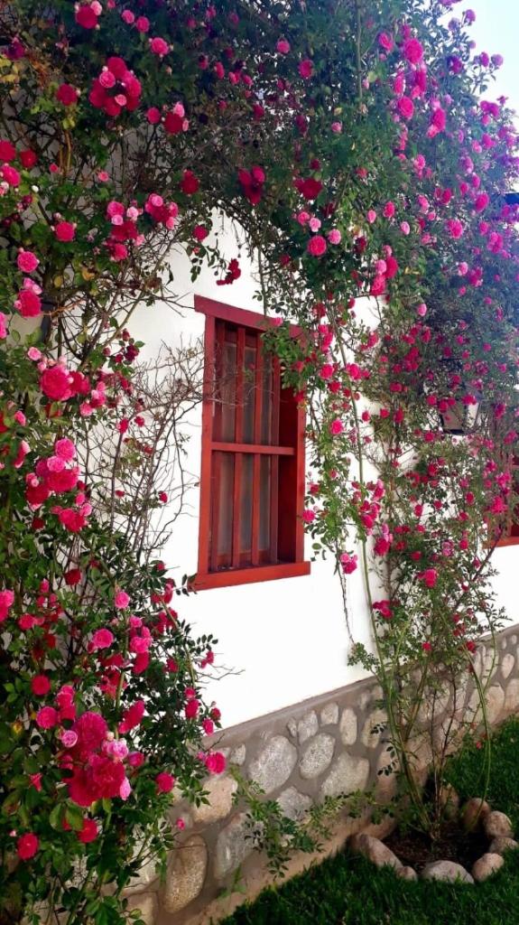 Balcones de San Carlos - casa Balcones photo 4