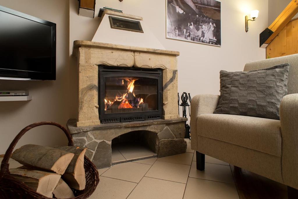Апартаменты (Апартаменты с 1 спальней и камином), Apartamenty TWW Zakopane