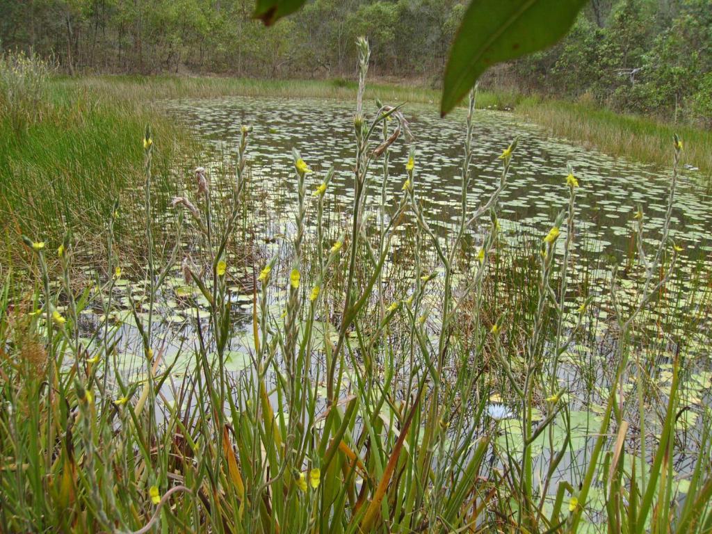 Back to the Bush photo 3