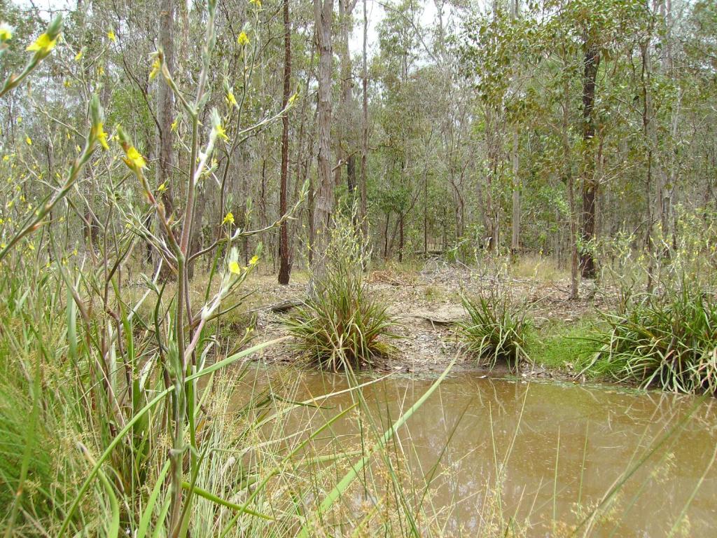 Back to the Bush photo 2