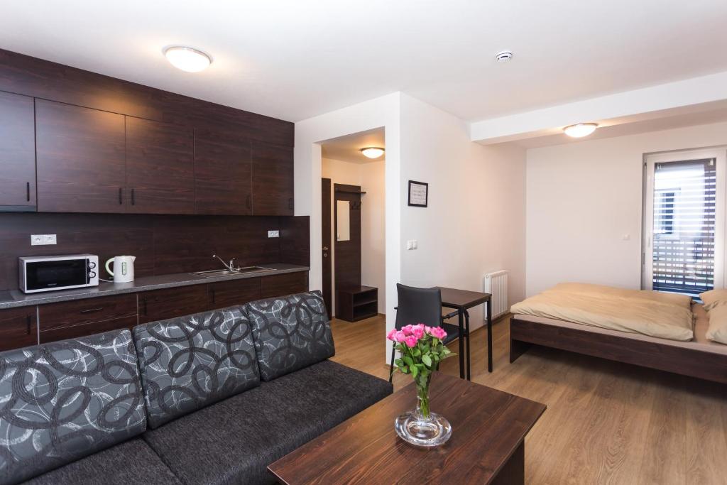 Двухместный (Номер-студио «Премиум» с террасой), Barok Hotel and Apartments