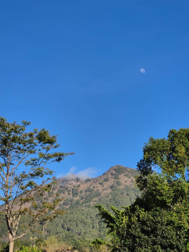 Desa Air Hot Springs & Glamping photo 1