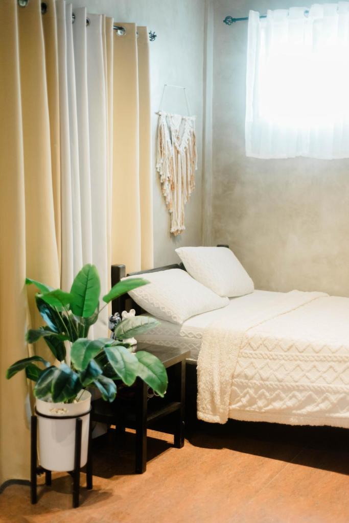 Pantropiko Lodge Room Type - One-Bedroom Apartment