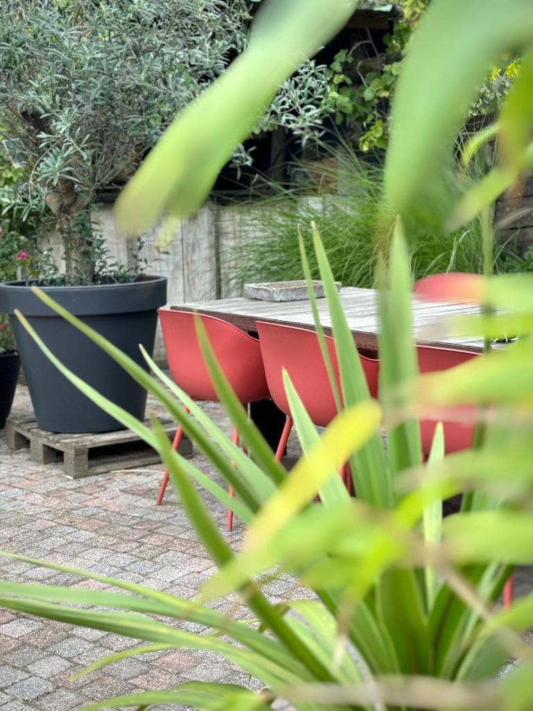 De Wilden Ezel photo 1