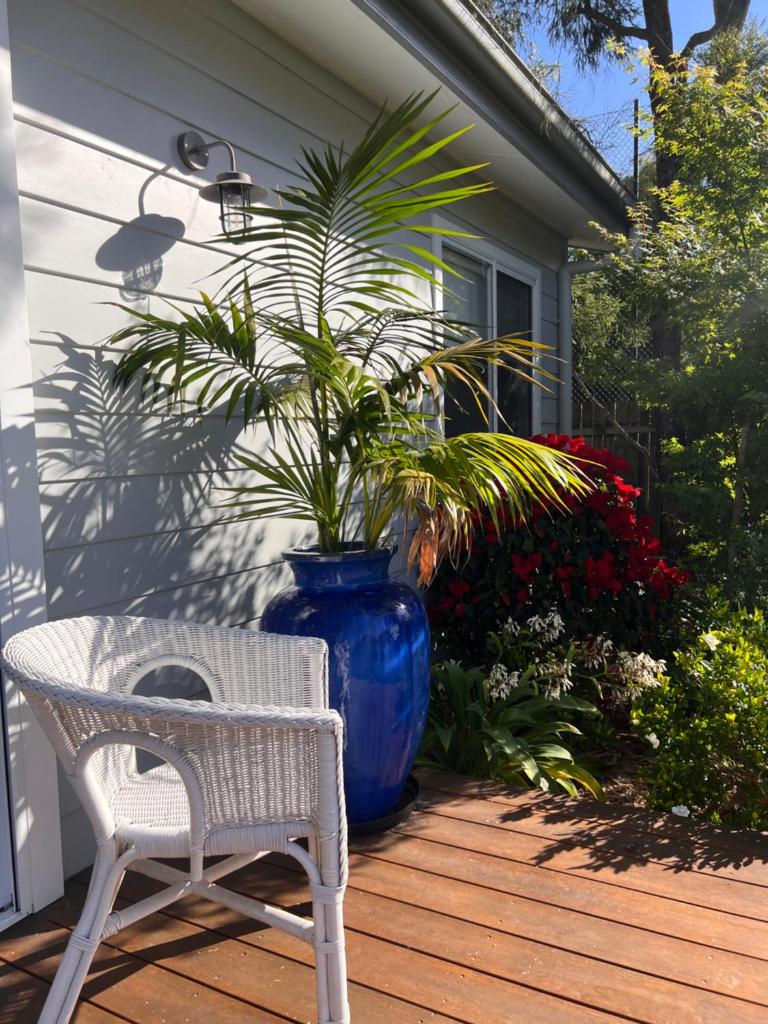 Palm Cottage Avalon Beach photo 3