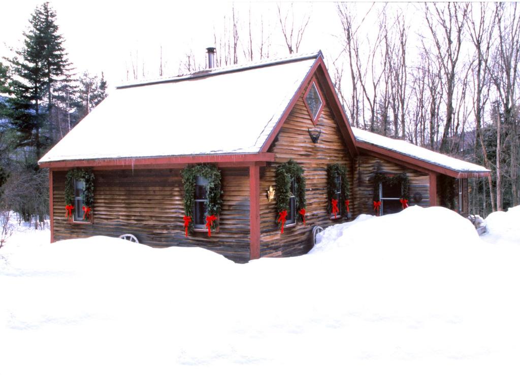 Goldilocks Cabin image