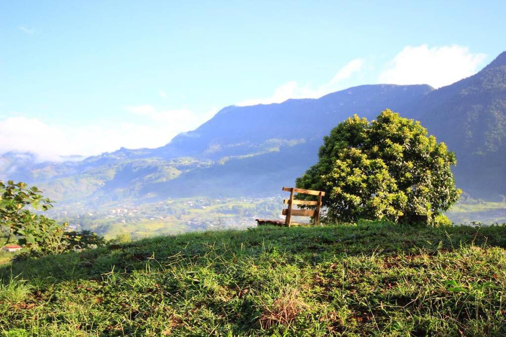 The Happy Happy Bungalow of Happiness!