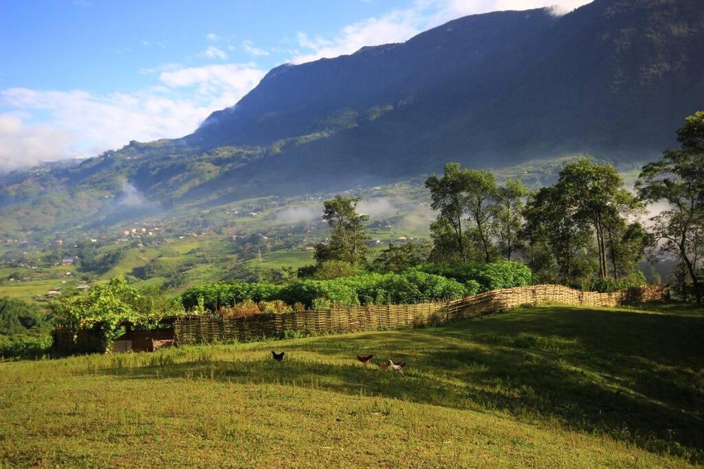 The Happy Happy Bungalow of Happiness!