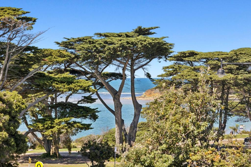 Luxury Meets Oceanfront Bliss on The Esplanade