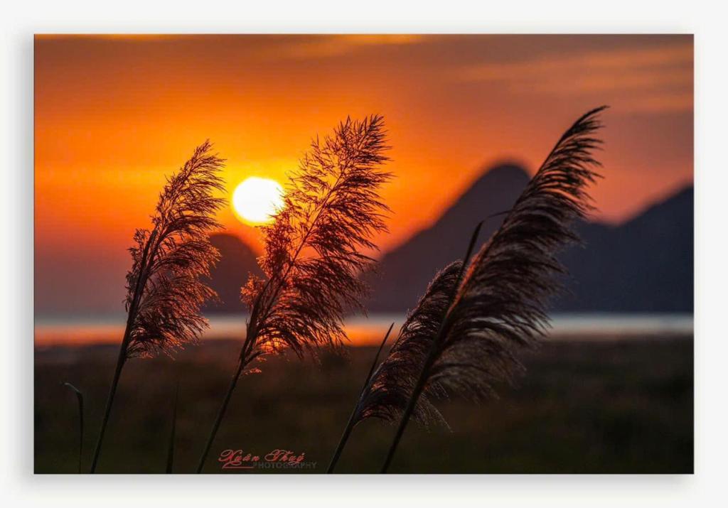 Cat Ba Madame Duyen Hotel