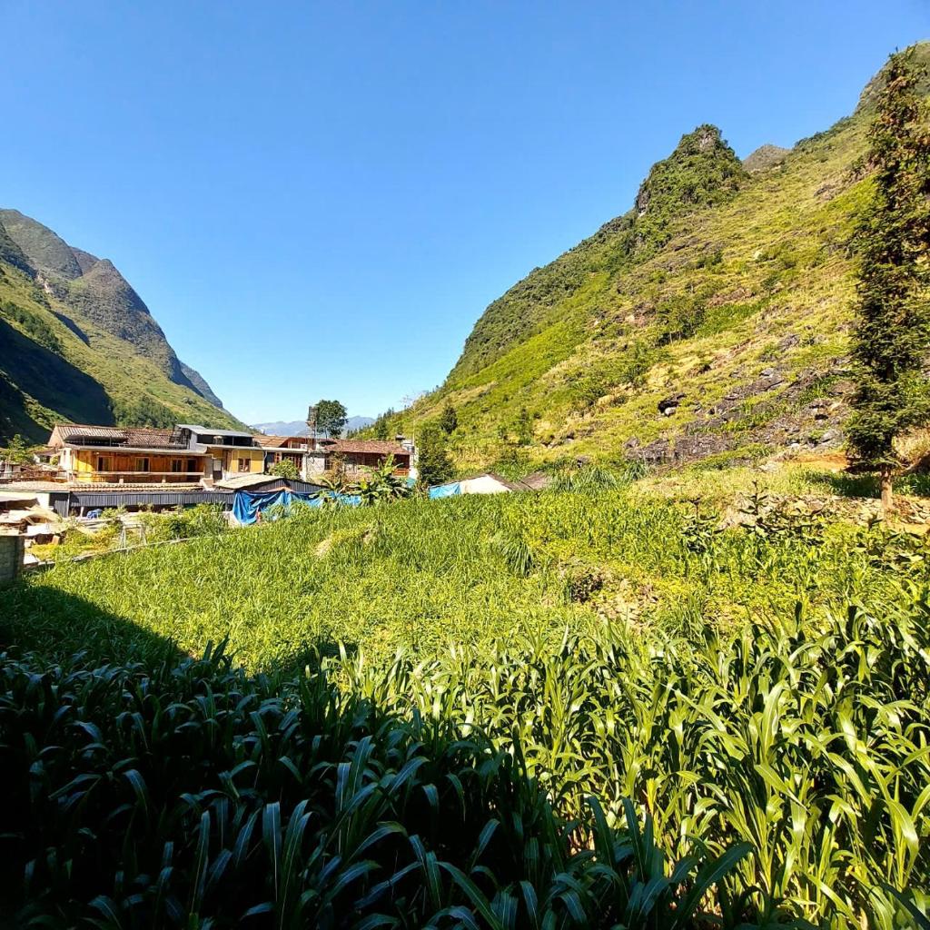 A Sên Homestay Làng Hmong Pả Vi