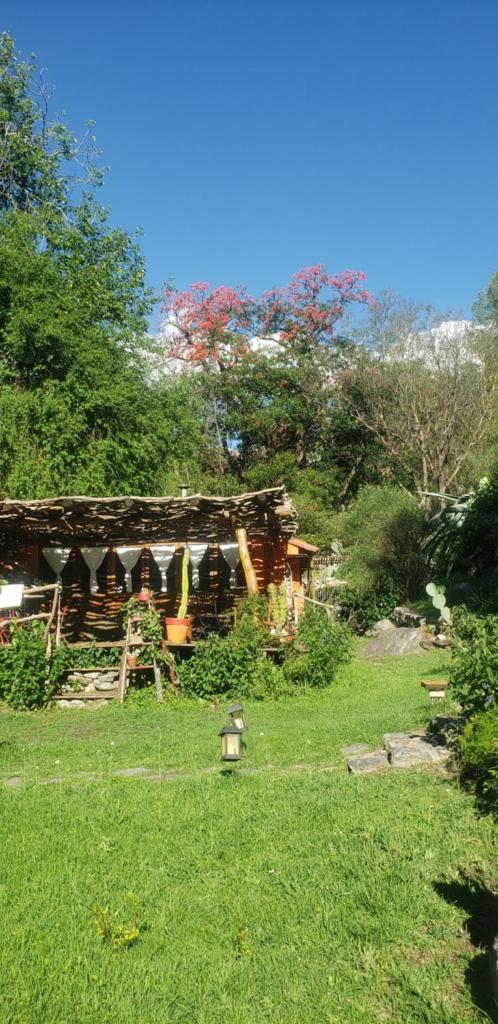 Cabañas spa el petrel photo 1