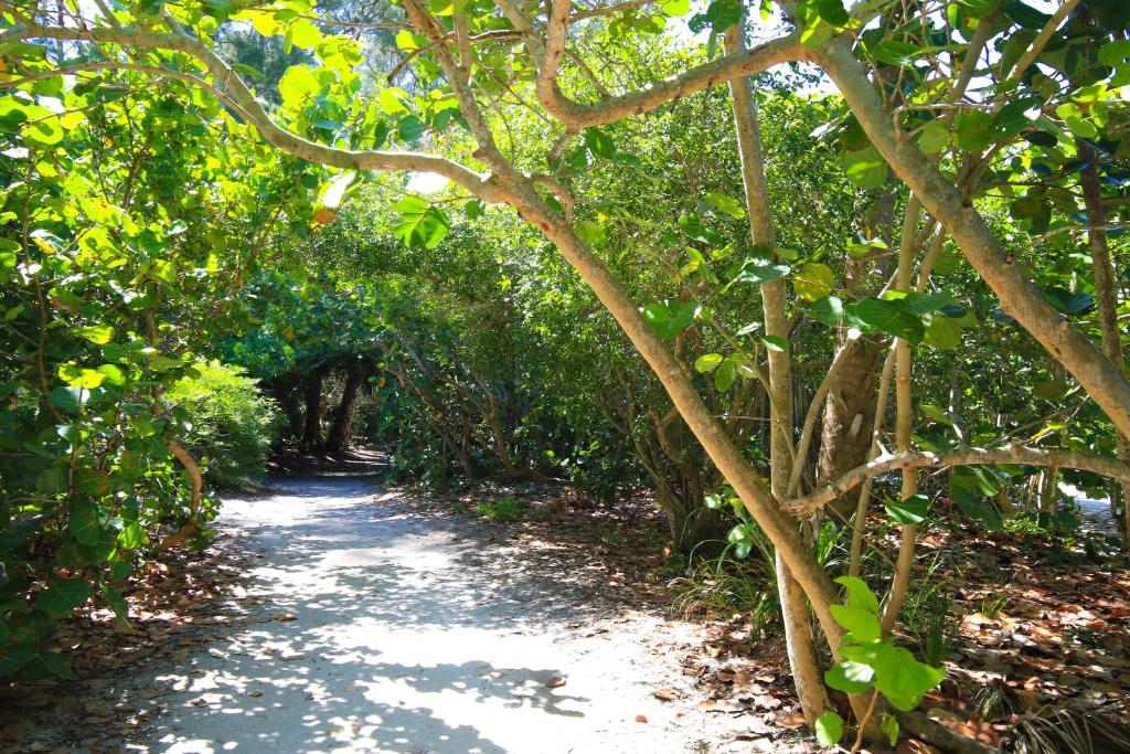 Anna Maria Island Sunshine Kiss Villa image