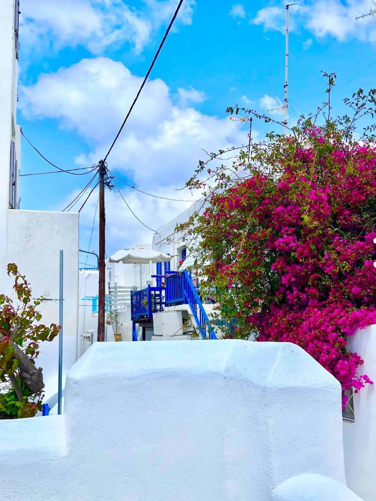 Aphrodite Suite next to the Windmills of Mykonos, Mykonos