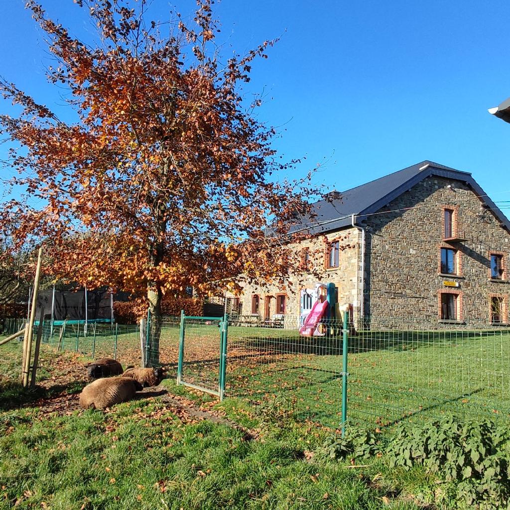 Bastogne Maison de vacances avec sauna photo 4
