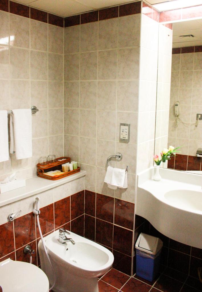 Одноместный (Большой одноместный номер (для 1 взрослого и 2 детей)), Отель Mayfair Hotel