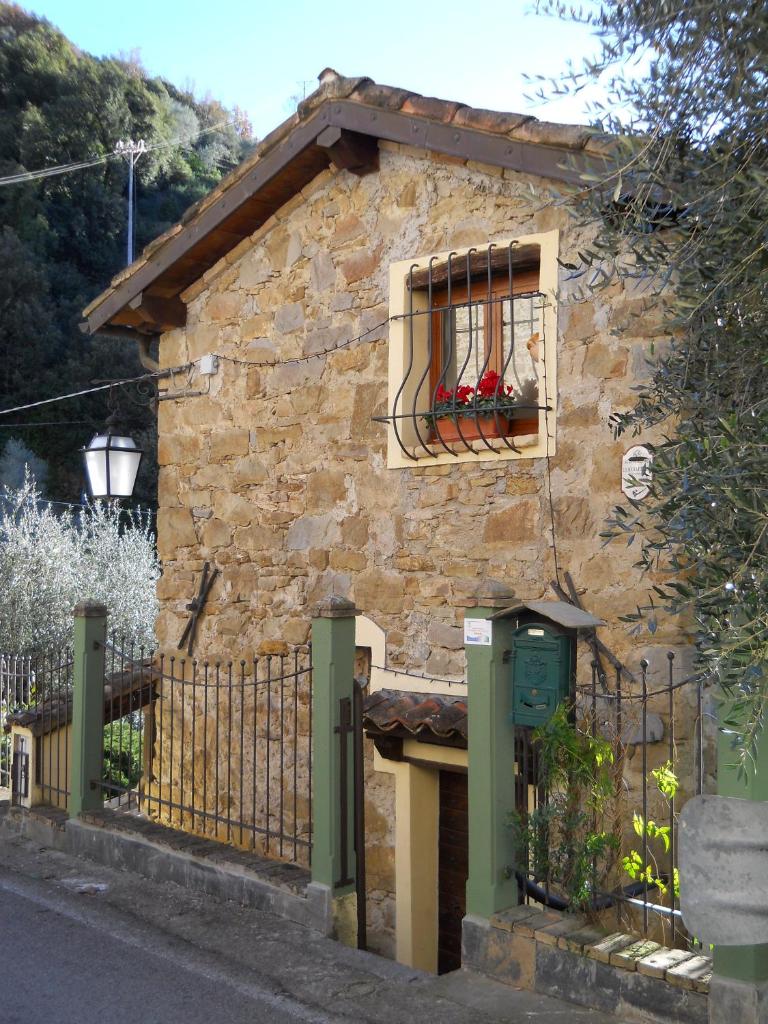 Lo Scoiattolo photo 1