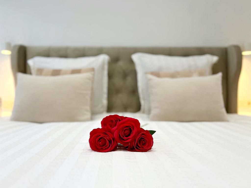 Sublime appartement Calme Cosy & Jacuzzi photo 2