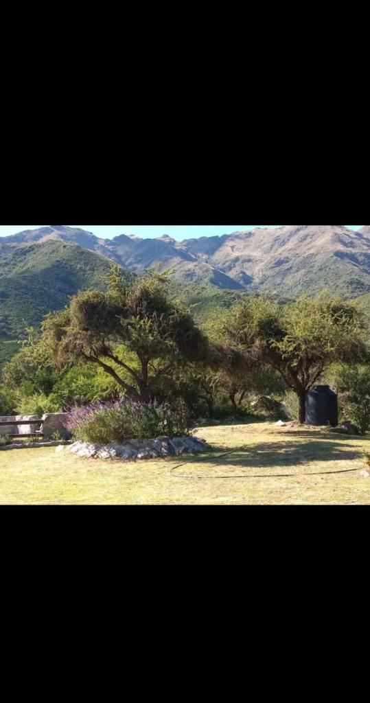 Paz en las Sierras photo 4