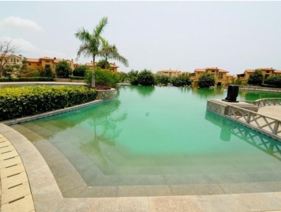 Jardim de Rosas Flat's photo 2