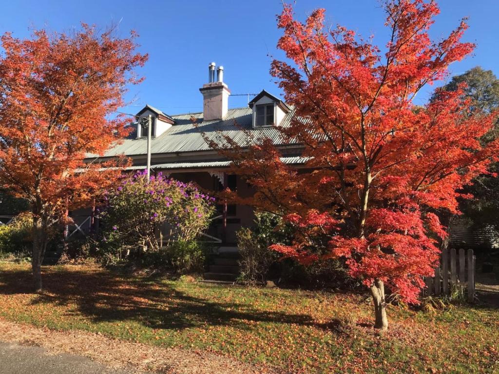Larsens Cottage 2 - Historic 1880 Home photo 2