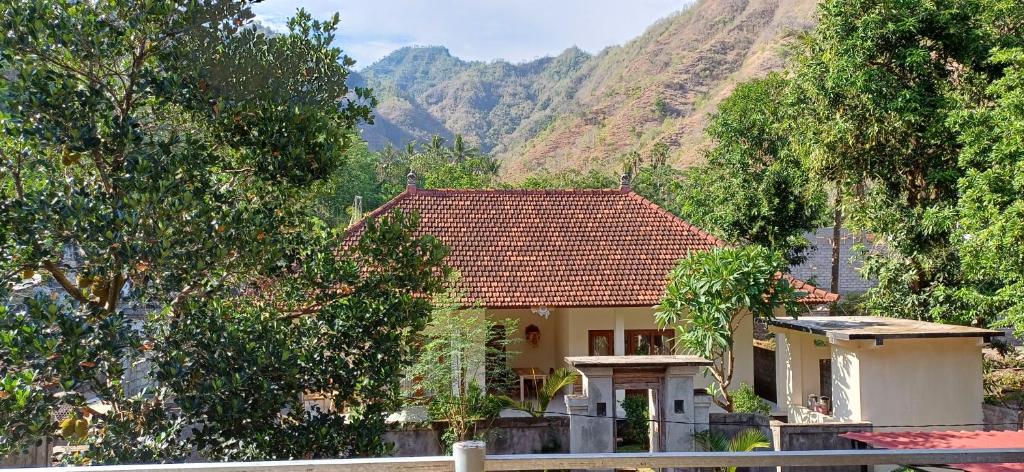 D'Amed house
