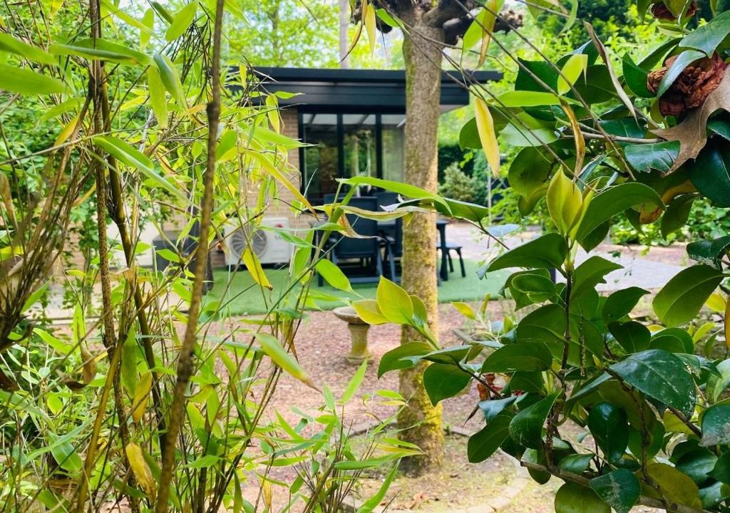 Spechthuisje, 4-pers bungalow in Rekem photo 3