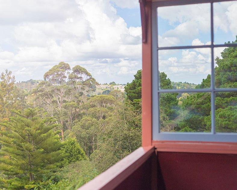 Katoomba Mountain Lodge photo 3
