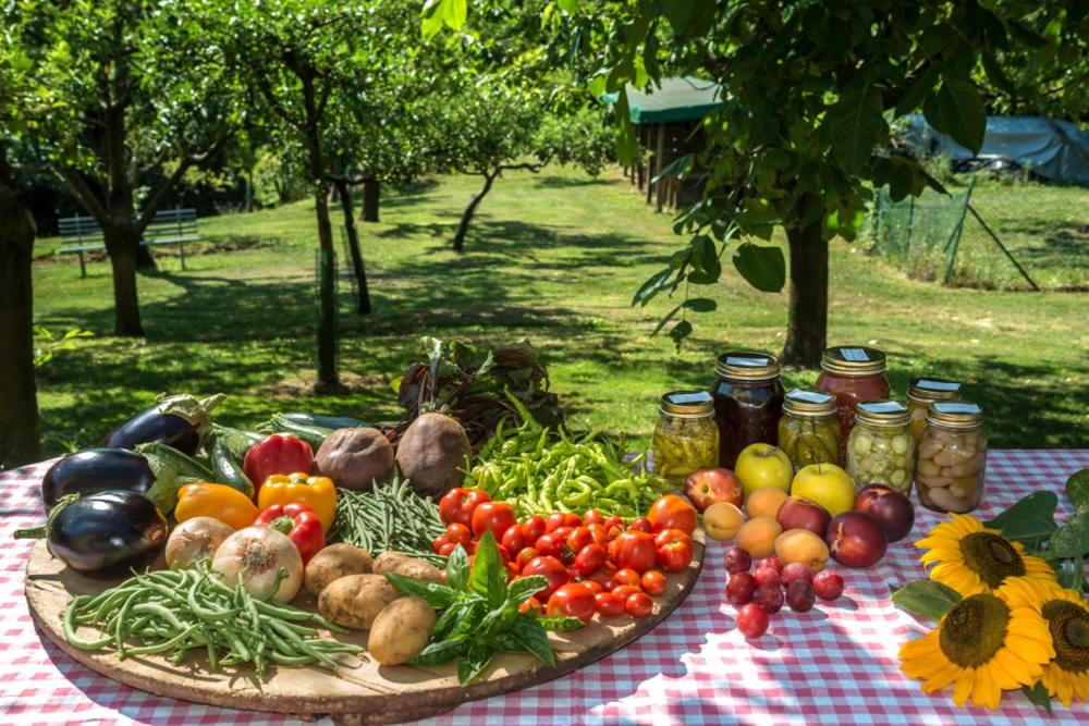 Colli Berici photo 3