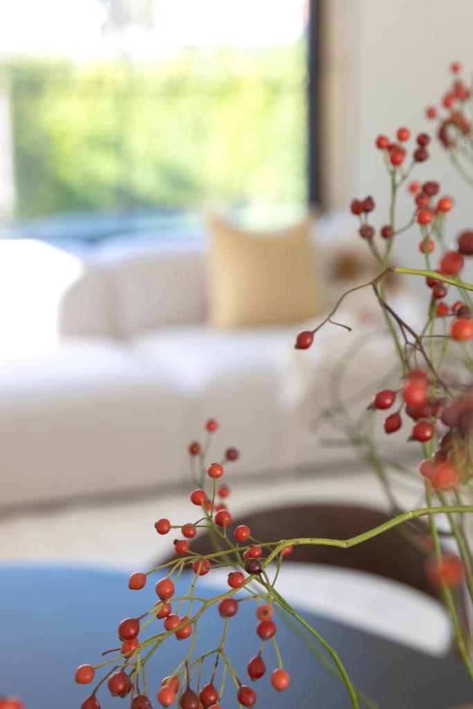 Maison Beaujean photo 3