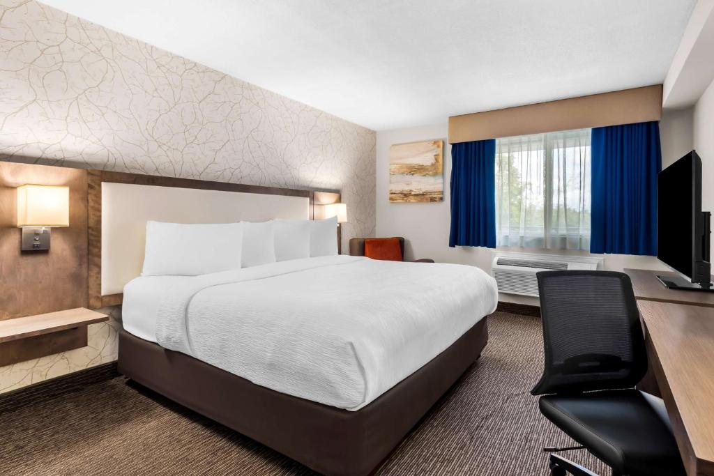 Best Western Halton Hills - Tap to explore photos