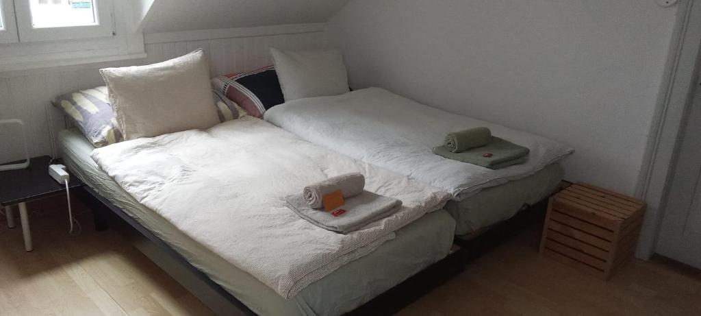 Gemutliche Dachwohnung