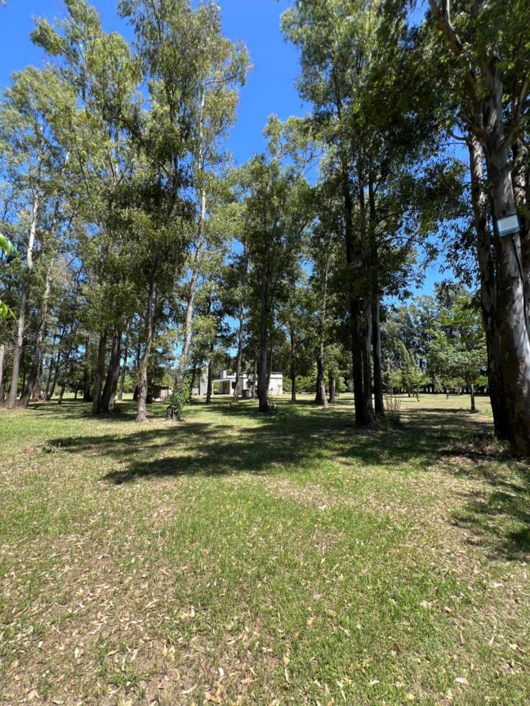 Casa De Campo El Bosque photo 1