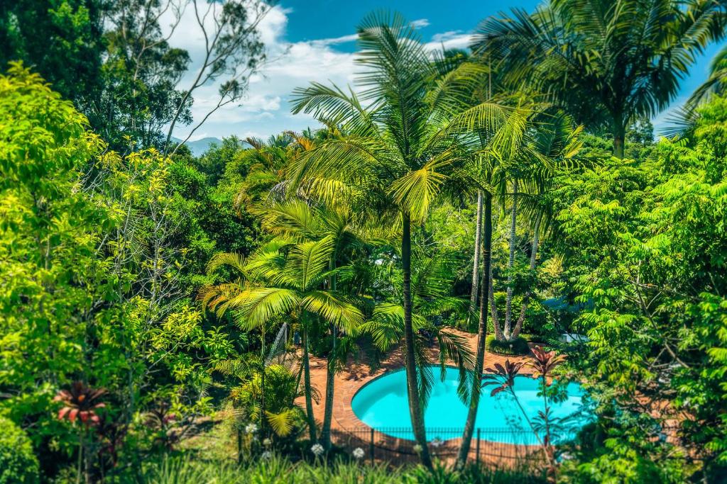 Bella Vista Bellingen photo 2