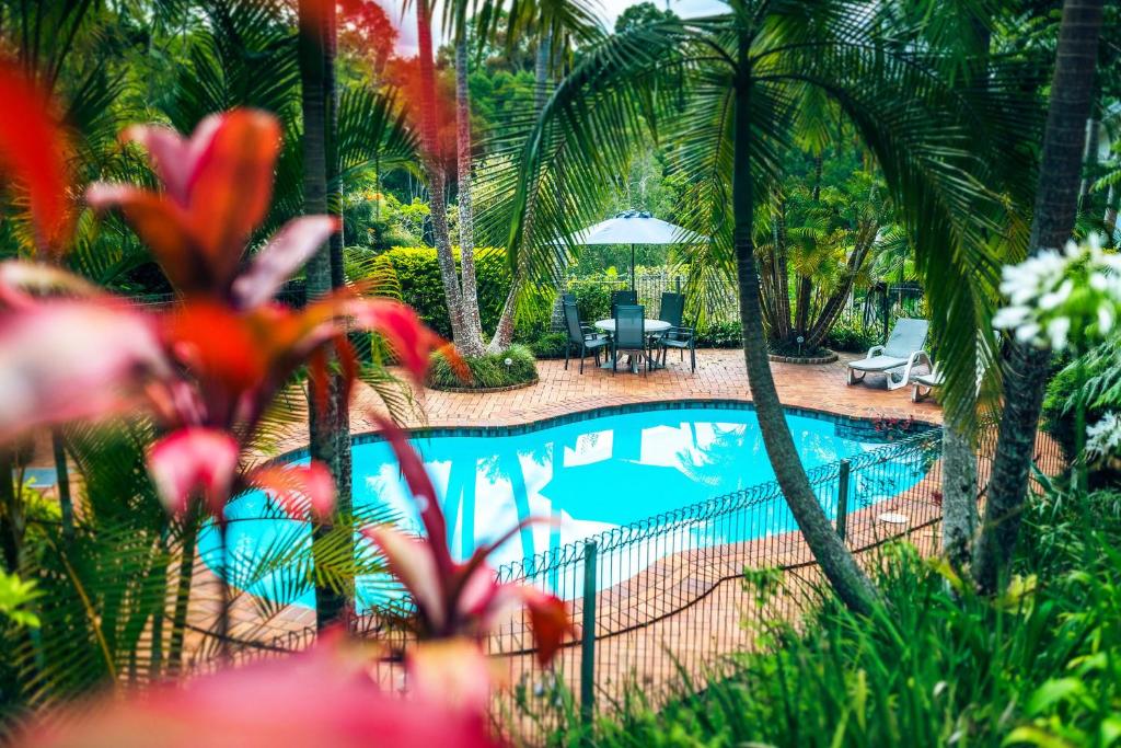 Bella Vista Bellingen photo 1