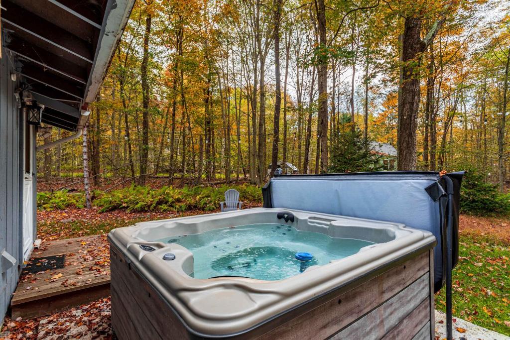 Hot Tub Fire Pit Dog Friendly image