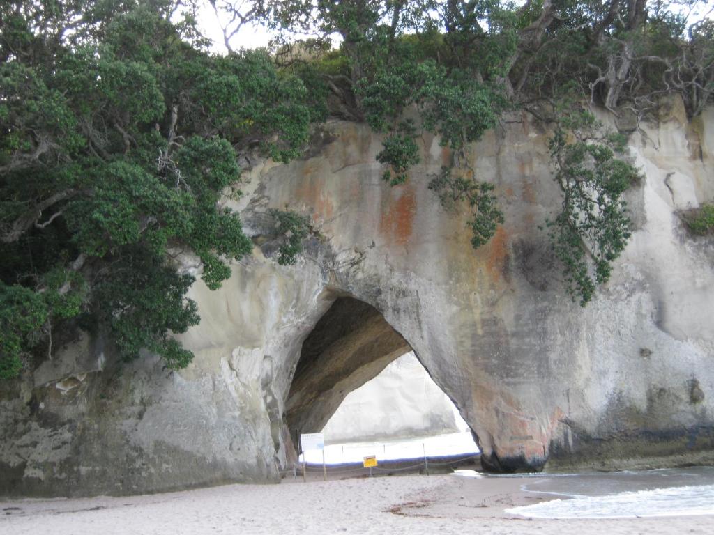 Hahei Beach Escape photo 4