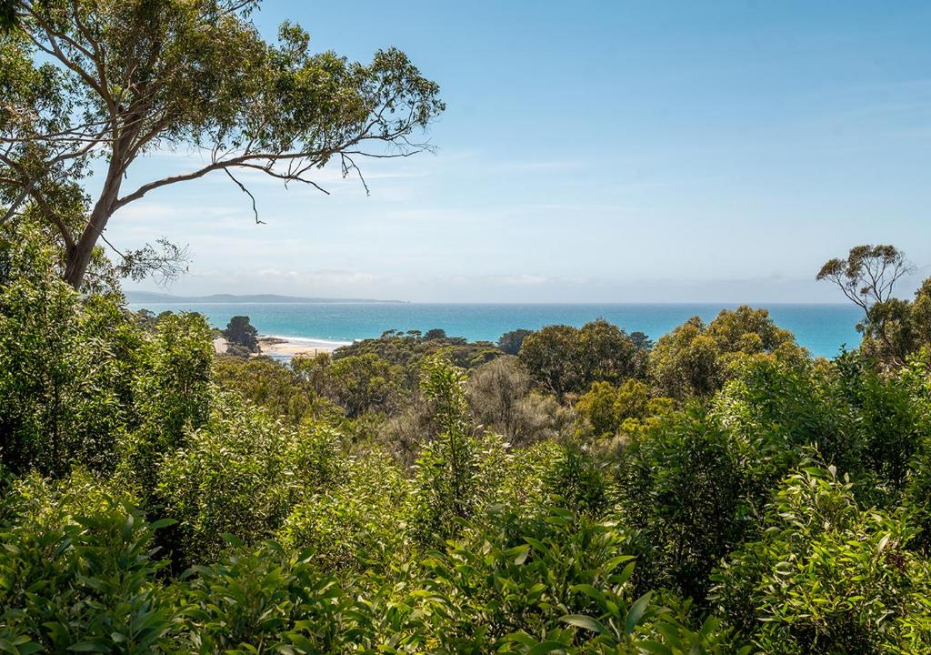 Watershack - Expansive ocean views, close to town photo 1