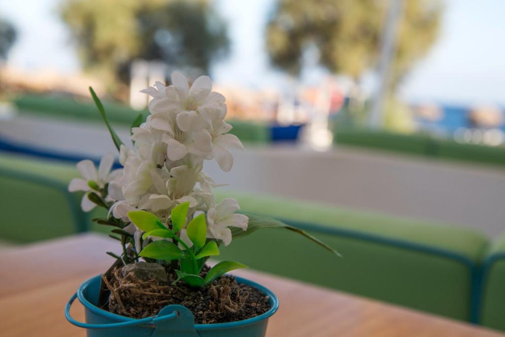 Glykeria Mini Suites photo 1