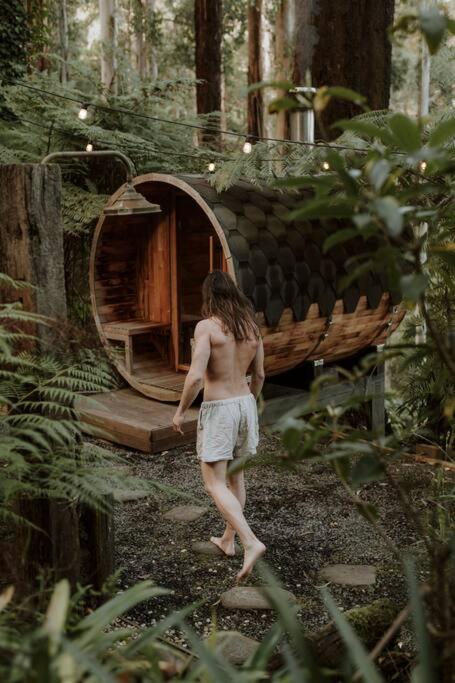 Forest Retreat photo 3