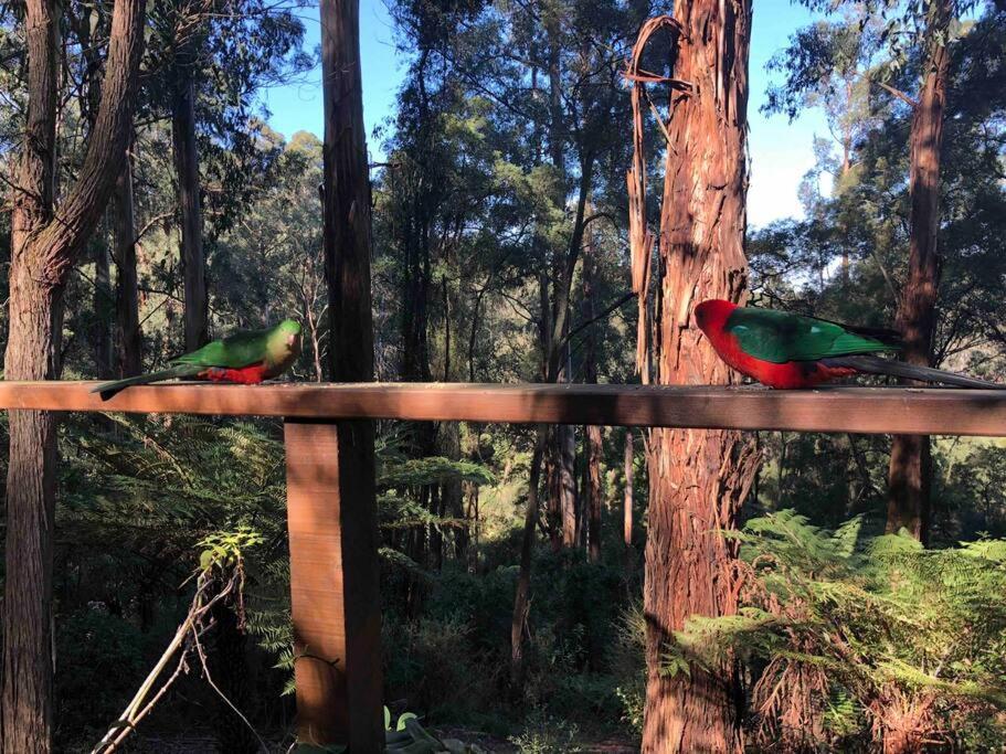 Forest Retreat photo 4