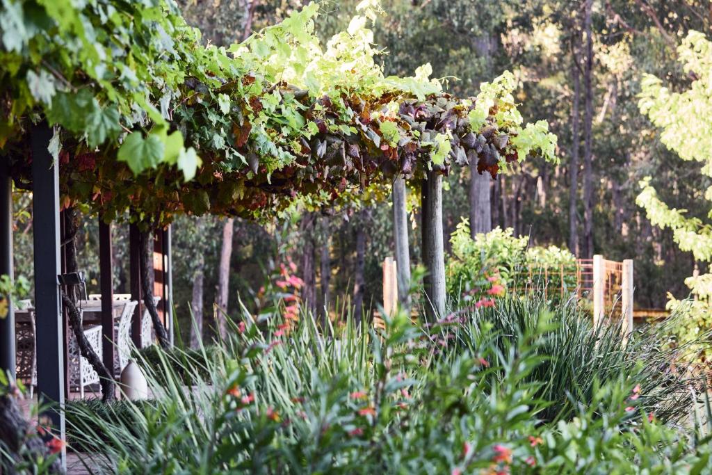 Yarradene Luxury Healesville Farmstay photo 1