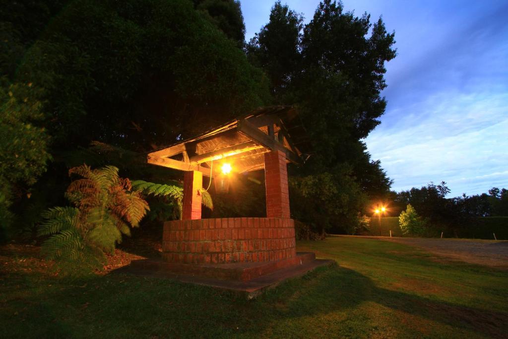Cabañas de Turismo Araucarias del Sur photo 4