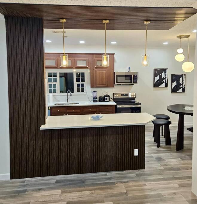 Beautiful And Modern, Valrico Apartment image