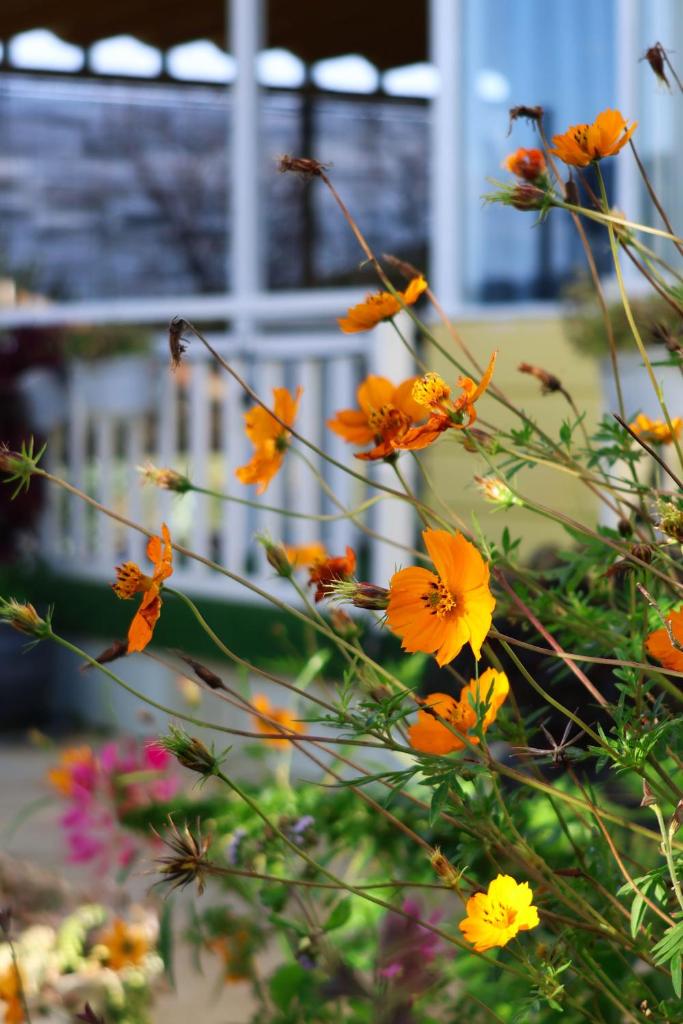 Đông Măng Homestay