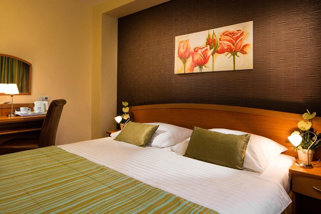 Двухместный (Стандартный двухместный номер с 1 кроватью), Best Western Hotel Galicya