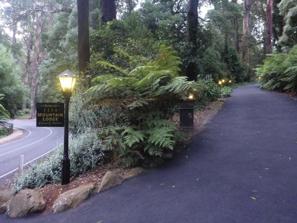 Mountain Lodge photo 3