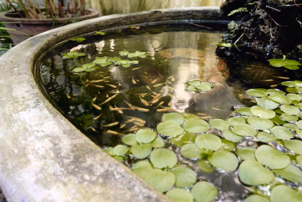 Hoi An Holiday Villa